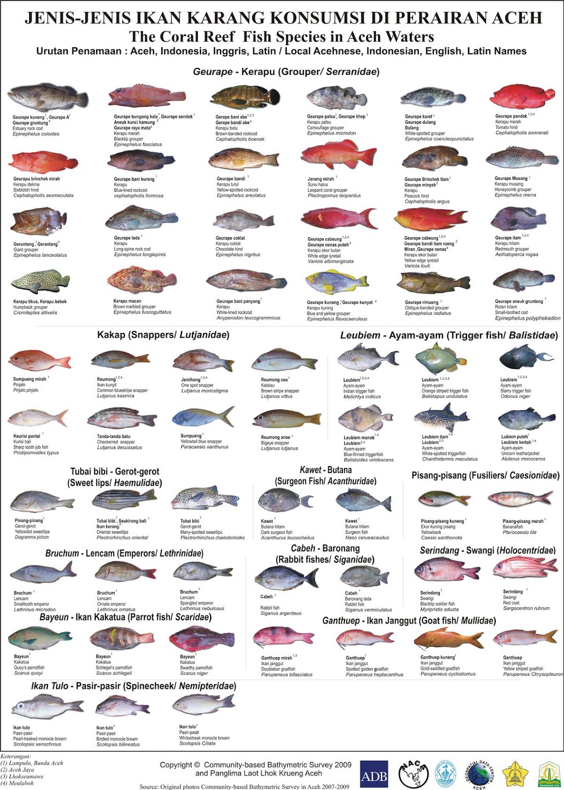 Eungkot Kareueng Aceh